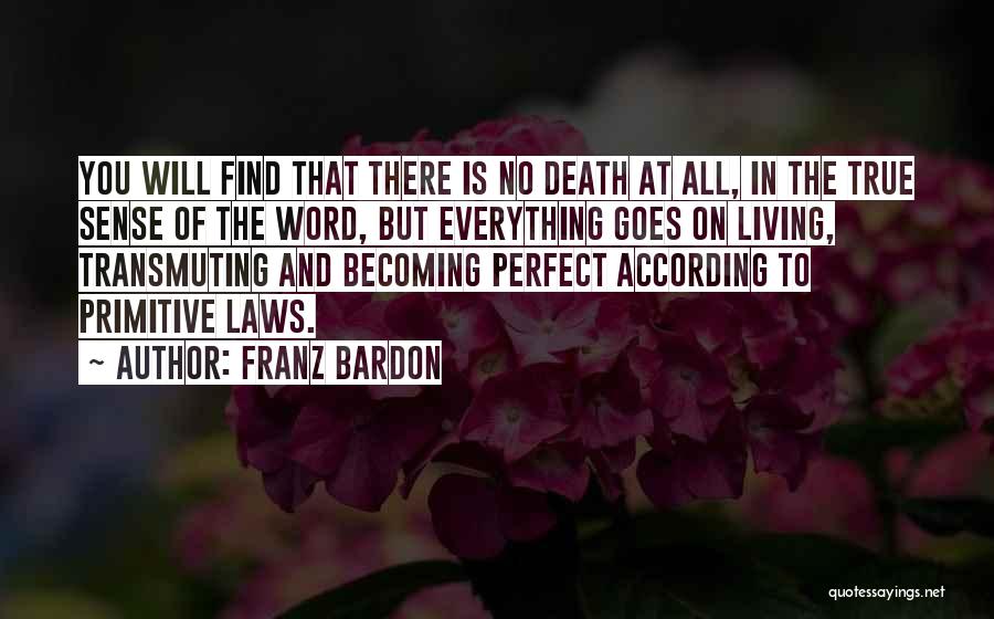 Franz Bardon Quotes: You Will Find That There Is No Death At All, In The True Sense Of The Word, But Everything Goes