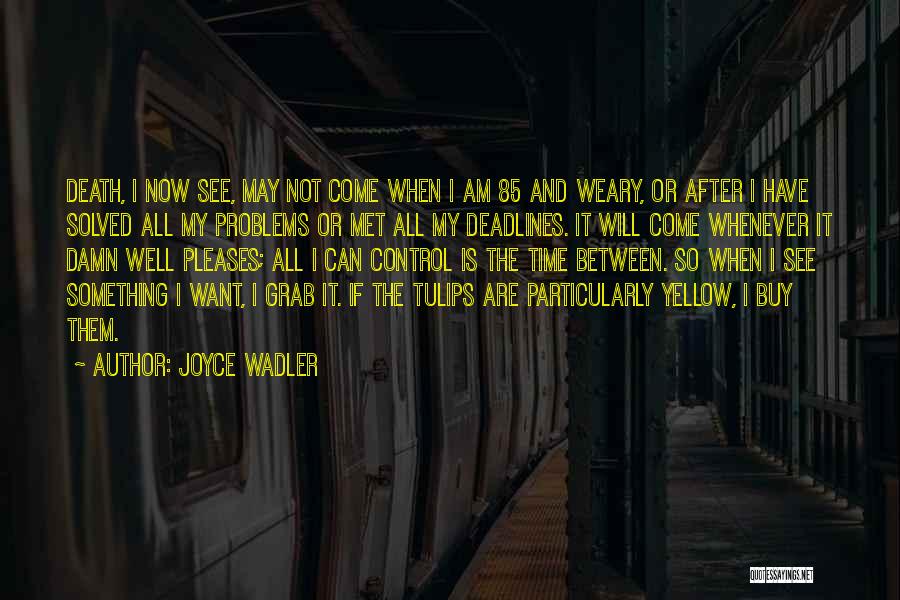 Joyce Wadler Quotes: Death, I Now See, May Not Come When I Am 85 And Weary, Or After I Have Solved All My