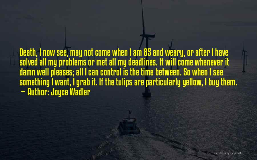 Joyce Wadler Quotes: Death, I Now See, May Not Come When I Am 85 And Weary, Or After I Have Solved All My