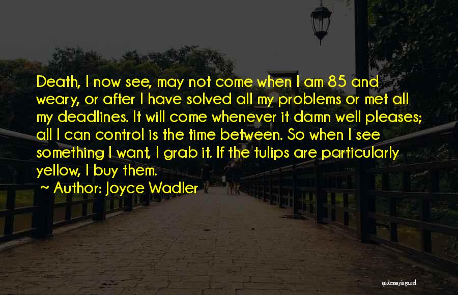 Joyce Wadler Quotes: Death, I Now See, May Not Come When I Am 85 And Weary, Or After I Have Solved All My