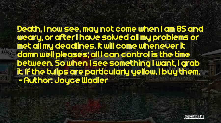Joyce Wadler Quotes: Death, I Now See, May Not Come When I Am 85 And Weary, Or After I Have Solved All My