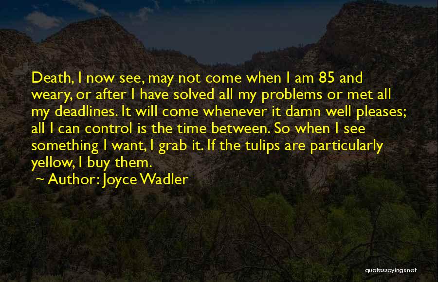 Joyce Wadler Quotes: Death, I Now See, May Not Come When I Am 85 And Weary, Or After I Have Solved All My
