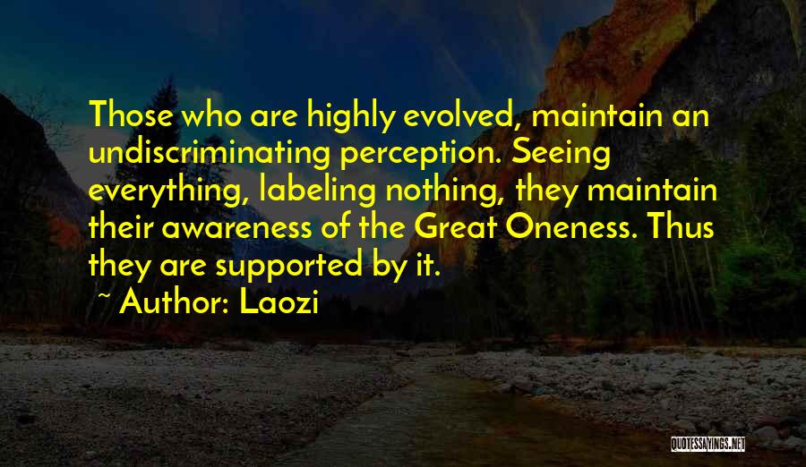 Laozi Quotes: Those Who Are Highly Evolved, Maintain An Undiscriminating Perception. Seeing Everything, Labeling Nothing, They Maintain Their Awareness Of The Great