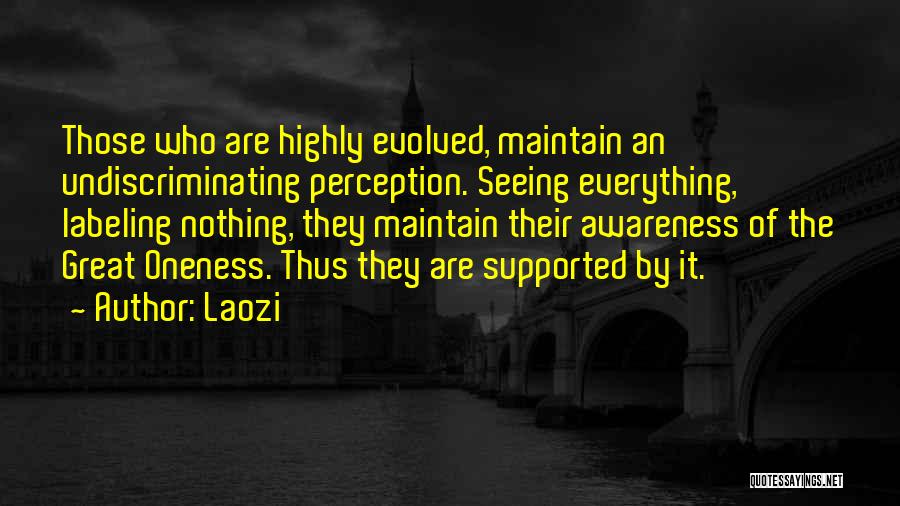 Laozi Quotes: Those Who Are Highly Evolved, Maintain An Undiscriminating Perception. Seeing Everything, Labeling Nothing, They Maintain Their Awareness Of The Great