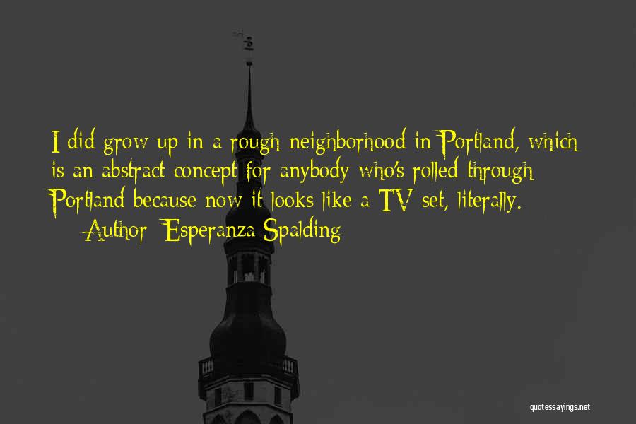 Esperanza Spalding Quotes: I Did Grow Up In A Rough Neighborhood In Portland, Which Is An Abstract Concept For Anybody Who's Rolled Through