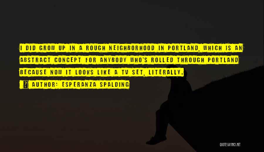 Esperanza Spalding Quotes: I Did Grow Up In A Rough Neighborhood In Portland, Which Is An Abstract Concept For Anybody Who's Rolled Through