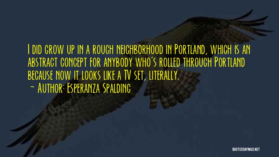 Esperanza Spalding Quotes: I Did Grow Up In A Rough Neighborhood In Portland, Which Is An Abstract Concept For Anybody Who's Rolled Through