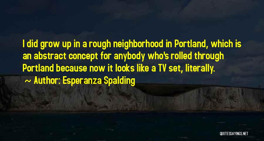 Esperanza Spalding Quotes: I Did Grow Up In A Rough Neighborhood In Portland, Which Is An Abstract Concept For Anybody Who's Rolled Through