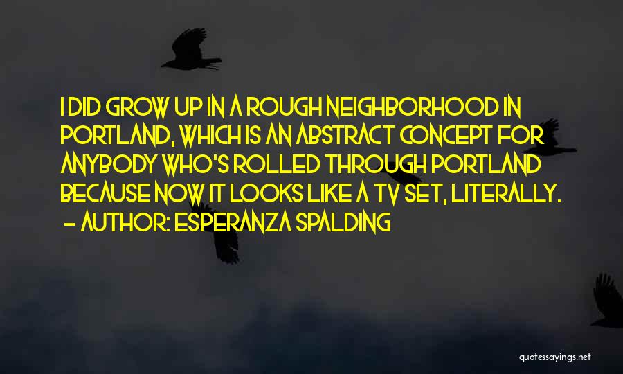 Esperanza Spalding Quotes: I Did Grow Up In A Rough Neighborhood In Portland, Which Is An Abstract Concept For Anybody Who's Rolled Through