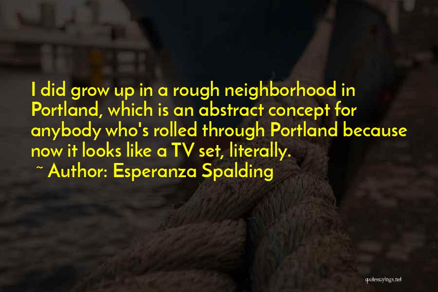 Esperanza Spalding Quotes: I Did Grow Up In A Rough Neighborhood In Portland, Which Is An Abstract Concept For Anybody Who's Rolled Through