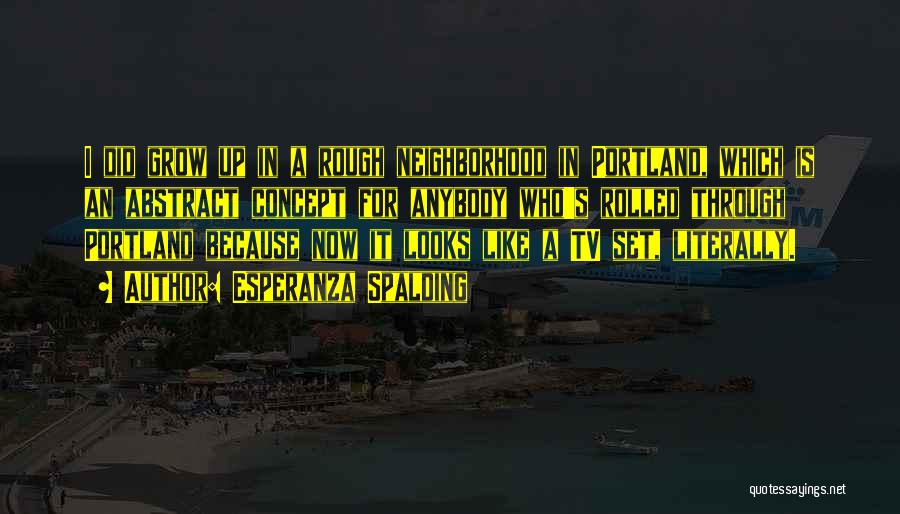 Esperanza Spalding Quotes: I Did Grow Up In A Rough Neighborhood In Portland, Which Is An Abstract Concept For Anybody Who's Rolled Through