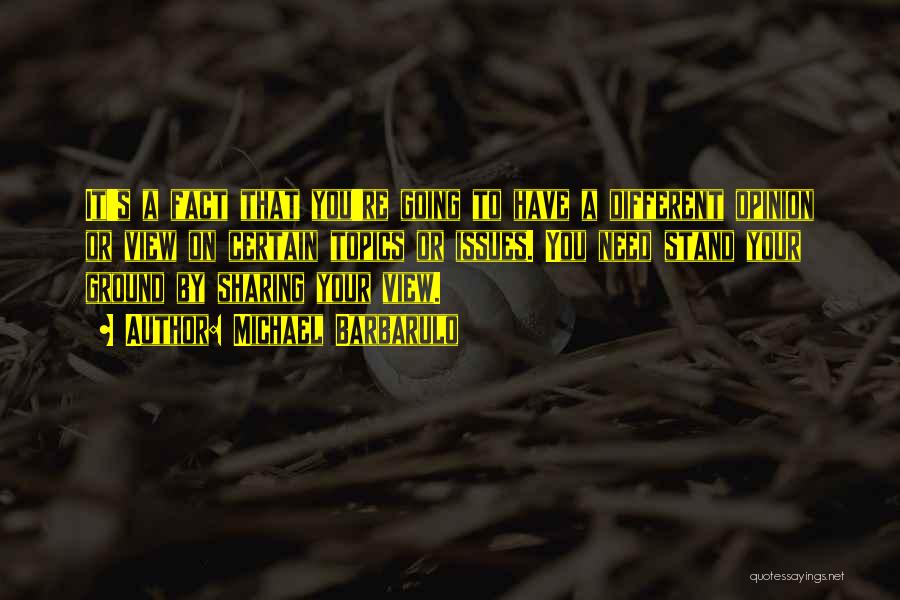Michael Barbarulo Quotes: It's A Fact That You're Going To Have A Different Opinion Or View On Certain Topics Or Issues. You Need