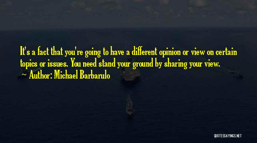 Michael Barbarulo Quotes: It's A Fact That You're Going To Have A Different Opinion Or View On Certain Topics Or Issues. You Need