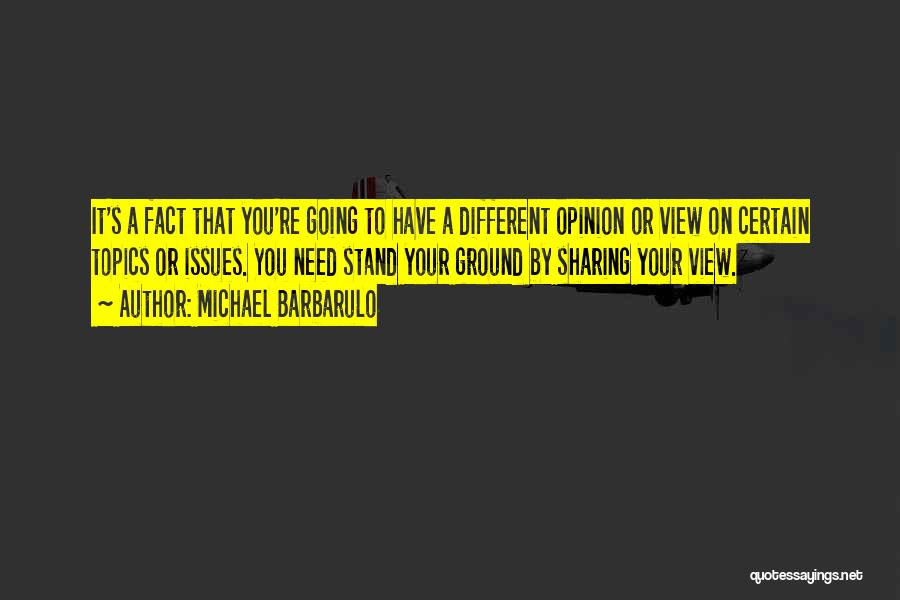 Michael Barbarulo Quotes: It's A Fact That You're Going To Have A Different Opinion Or View On Certain Topics Or Issues. You Need