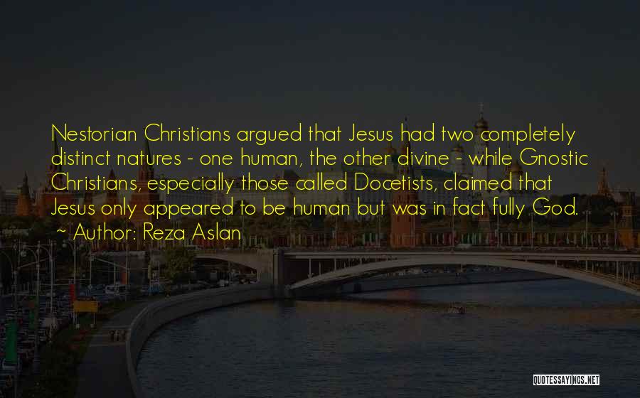 Reza Aslan Quotes: Nestorian Christians Argued That Jesus Had Two Completely Distinct Natures - One Human, The Other Divine - While Gnostic Christians,