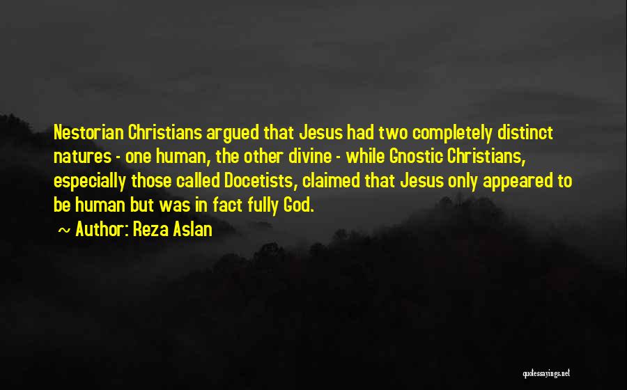 Reza Aslan Quotes: Nestorian Christians Argued That Jesus Had Two Completely Distinct Natures - One Human, The Other Divine - While Gnostic Christians,