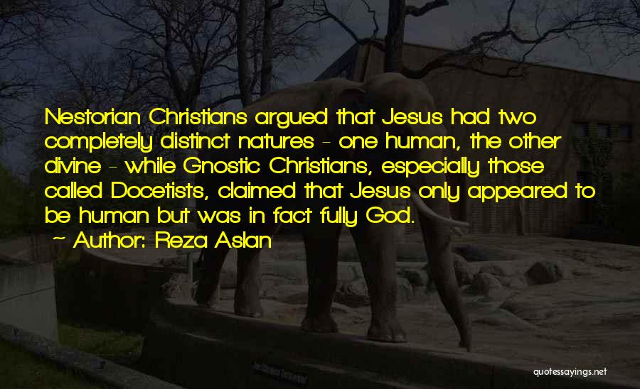 Reza Aslan Quotes: Nestorian Christians Argued That Jesus Had Two Completely Distinct Natures - One Human, The Other Divine - While Gnostic Christians,