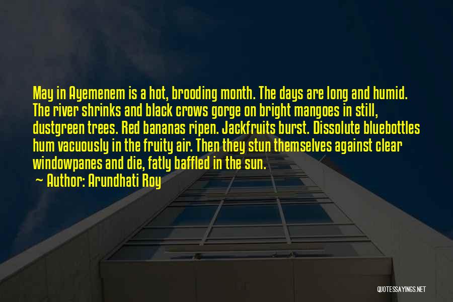 Arundhati Roy Quotes: May In Ayemenem Is A Hot, Brooding Month. The Days Are Long And Humid. The River Shrinks And Black Crows