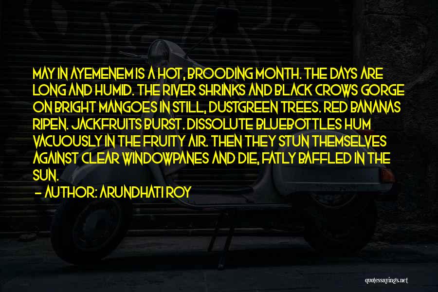 Arundhati Roy Quotes: May In Ayemenem Is A Hot, Brooding Month. The Days Are Long And Humid. The River Shrinks And Black Crows