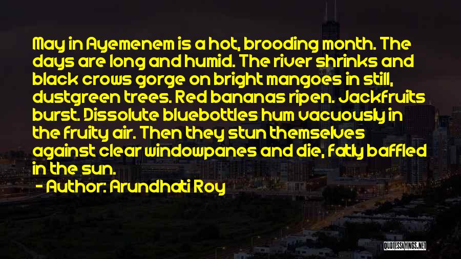 Arundhati Roy Quotes: May In Ayemenem Is A Hot, Brooding Month. The Days Are Long And Humid. The River Shrinks And Black Crows