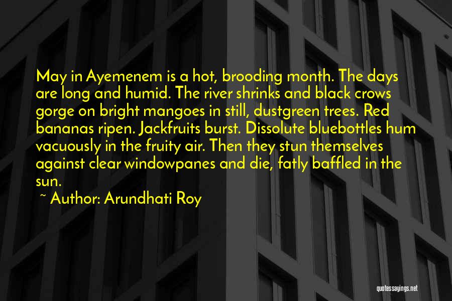 Arundhati Roy Quotes: May In Ayemenem Is A Hot, Brooding Month. The Days Are Long And Humid. The River Shrinks And Black Crows