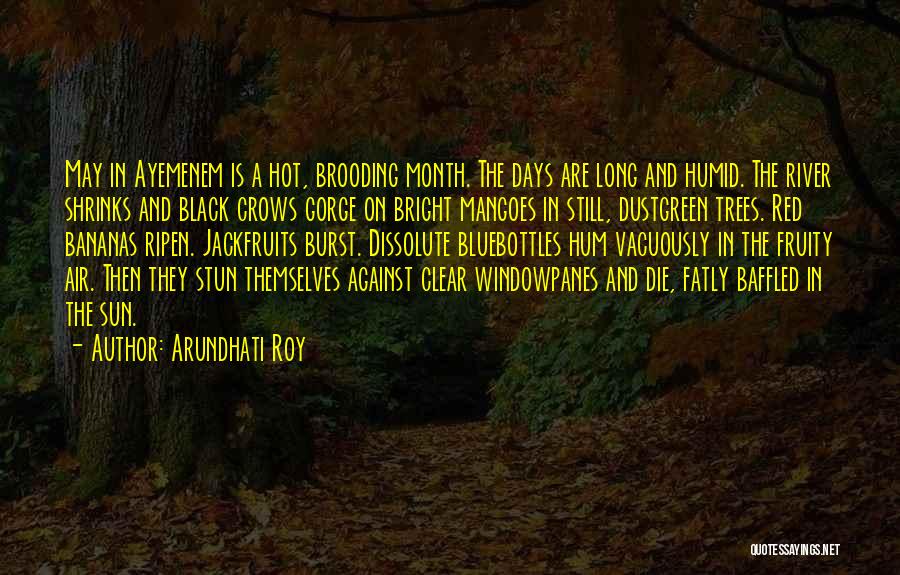 Arundhati Roy Quotes: May In Ayemenem Is A Hot, Brooding Month. The Days Are Long And Humid. The River Shrinks And Black Crows