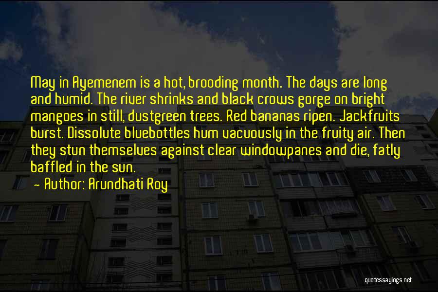 Arundhati Roy Quotes: May In Ayemenem Is A Hot, Brooding Month. The Days Are Long And Humid. The River Shrinks And Black Crows