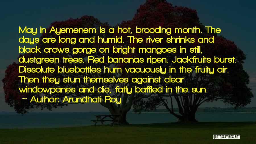 Arundhati Roy Quotes: May In Ayemenem Is A Hot, Brooding Month. The Days Are Long And Humid. The River Shrinks And Black Crows