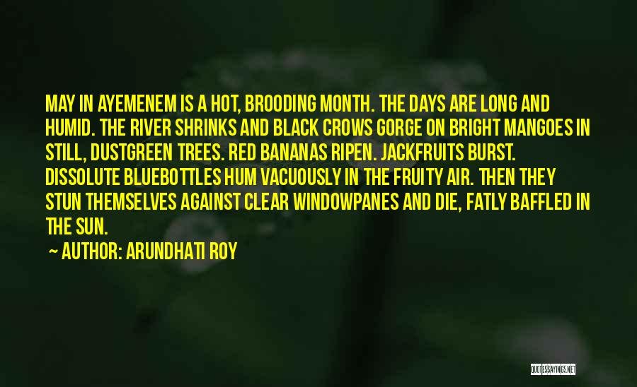 Arundhati Roy Quotes: May In Ayemenem Is A Hot, Brooding Month. The Days Are Long And Humid. The River Shrinks And Black Crows