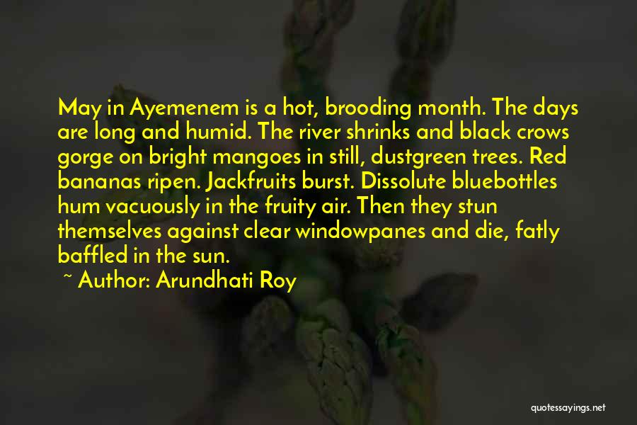 Arundhati Roy Quotes: May In Ayemenem Is A Hot, Brooding Month. The Days Are Long And Humid. The River Shrinks And Black Crows