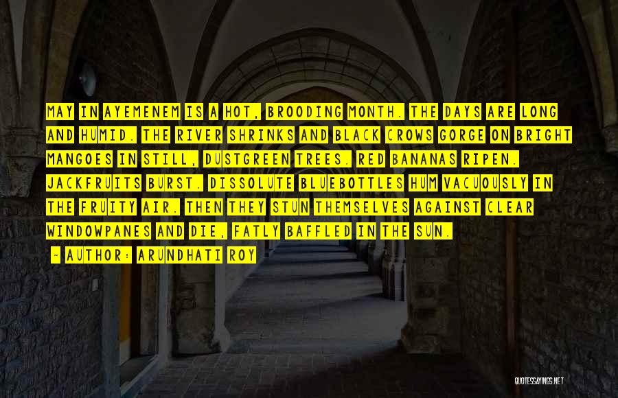 Arundhati Roy Quotes: May In Ayemenem Is A Hot, Brooding Month. The Days Are Long And Humid. The River Shrinks And Black Crows