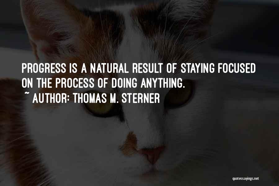 Thomas M. Sterner Quotes: Progress Is A Natural Result Of Staying Focused On The Process Of Doing Anything.