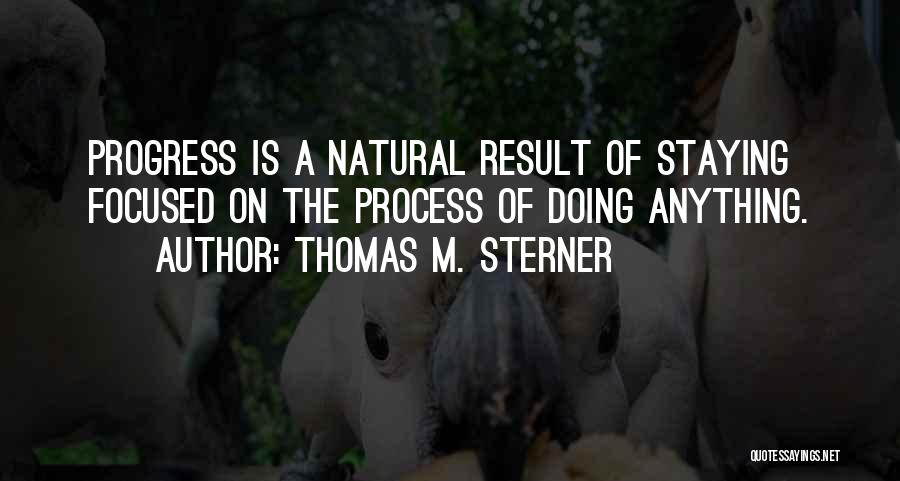 Thomas M. Sterner Quotes: Progress Is A Natural Result Of Staying Focused On The Process Of Doing Anything.