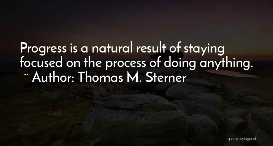 Thomas M. Sterner Quotes: Progress Is A Natural Result Of Staying Focused On The Process Of Doing Anything.