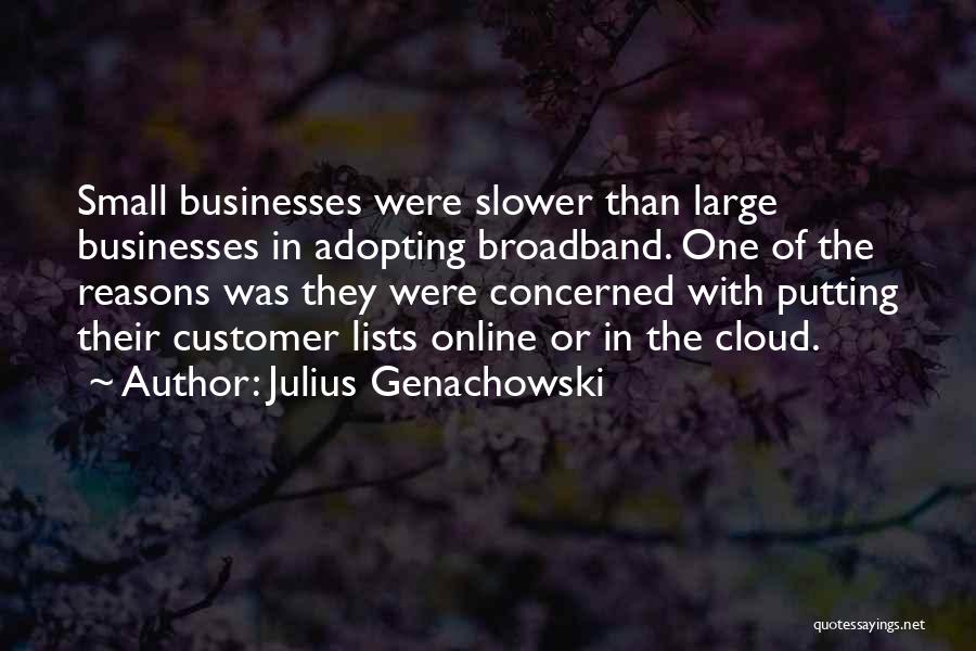Julius Genachowski Quotes: Small Businesses Were Slower Than Large Businesses In Adopting Broadband. One Of The Reasons Was They Were Concerned With Putting