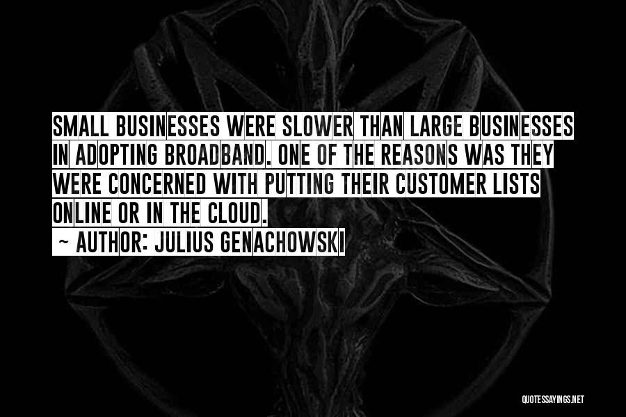 Julius Genachowski Quotes: Small Businesses Were Slower Than Large Businesses In Adopting Broadband. One Of The Reasons Was They Were Concerned With Putting