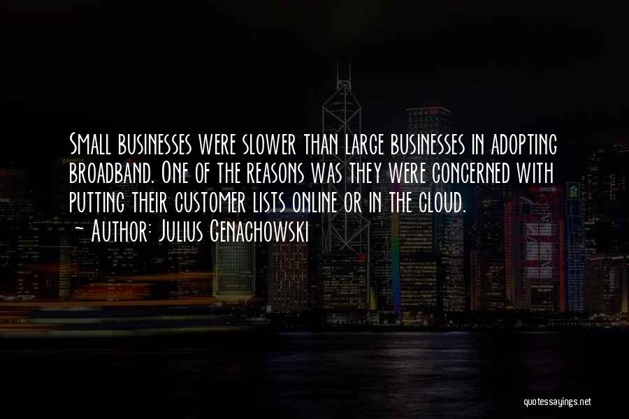 Julius Genachowski Quotes: Small Businesses Were Slower Than Large Businesses In Adopting Broadband. One Of The Reasons Was They Were Concerned With Putting