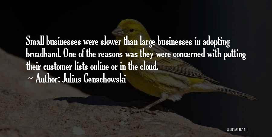 Julius Genachowski Quotes: Small Businesses Were Slower Than Large Businesses In Adopting Broadband. One Of The Reasons Was They Were Concerned With Putting