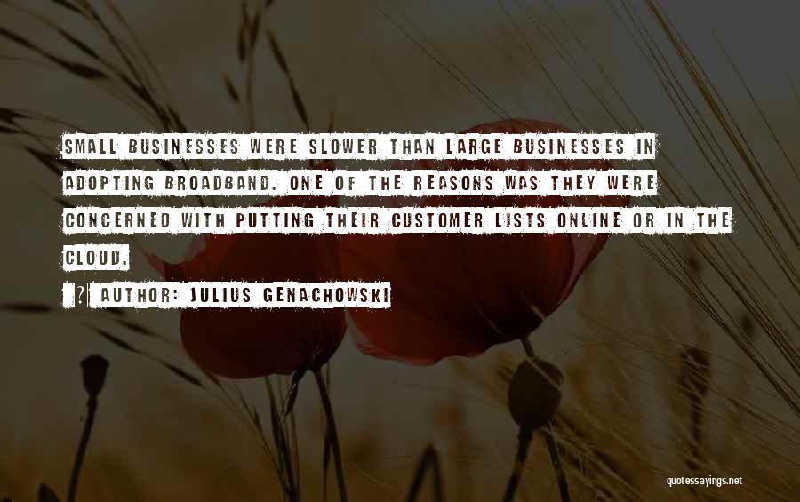Julius Genachowski Quotes: Small Businesses Were Slower Than Large Businesses In Adopting Broadband. One Of The Reasons Was They Were Concerned With Putting