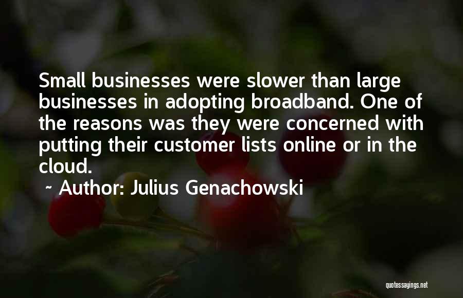 Julius Genachowski Quotes: Small Businesses Were Slower Than Large Businesses In Adopting Broadband. One Of The Reasons Was They Were Concerned With Putting