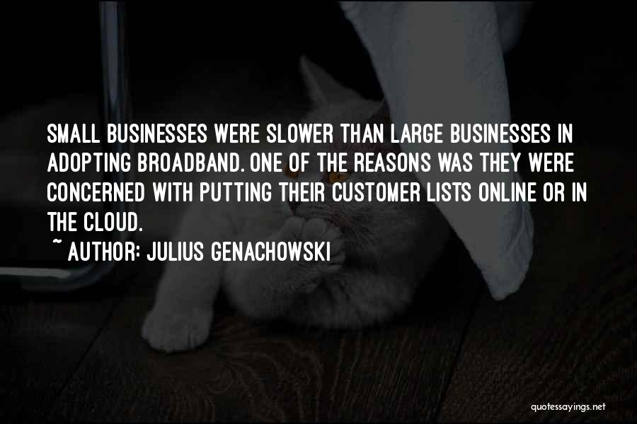 Julius Genachowski Quotes: Small Businesses Were Slower Than Large Businesses In Adopting Broadband. One Of The Reasons Was They Were Concerned With Putting