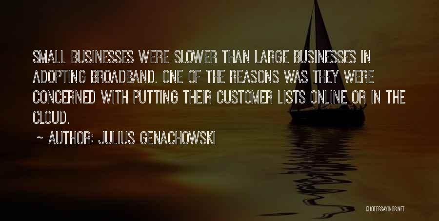Julius Genachowski Quotes: Small Businesses Were Slower Than Large Businesses In Adopting Broadband. One Of The Reasons Was They Were Concerned With Putting