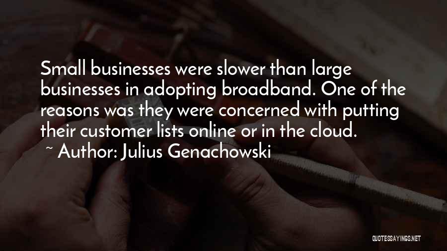 Julius Genachowski Quotes: Small Businesses Were Slower Than Large Businesses In Adopting Broadband. One Of The Reasons Was They Were Concerned With Putting