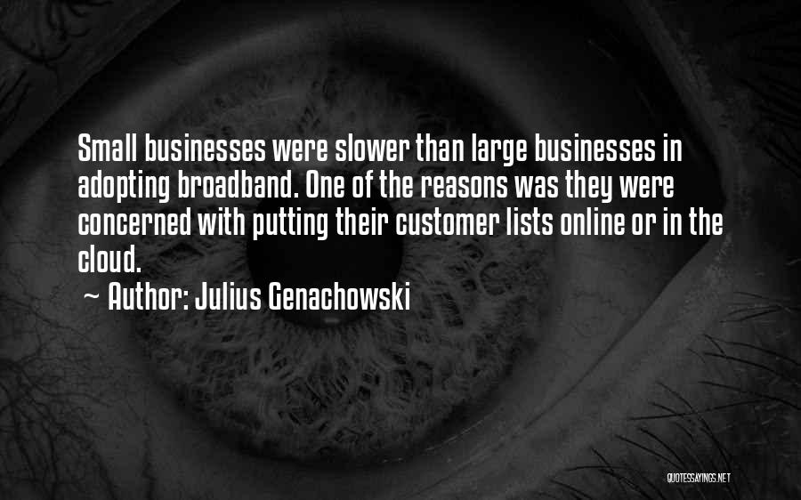 Julius Genachowski Quotes: Small Businesses Were Slower Than Large Businesses In Adopting Broadband. One Of The Reasons Was They Were Concerned With Putting