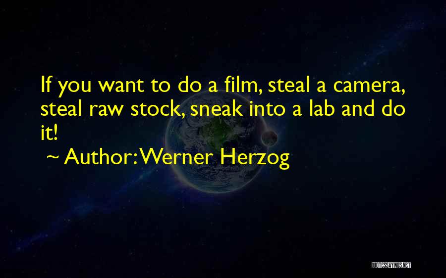 Werner Herzog Quotes: If You Want To Do A Film, Steal A Camera, Steal Raw Stock, Sneak Into A Lab And Do It!