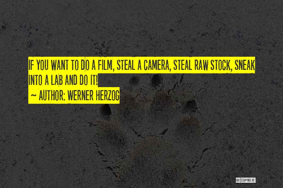 Werner Herzog Quotes: If You Want To Do A Film, Steal A Camera, Steal Raw Stock, Sneak Into A Lab And Do It!