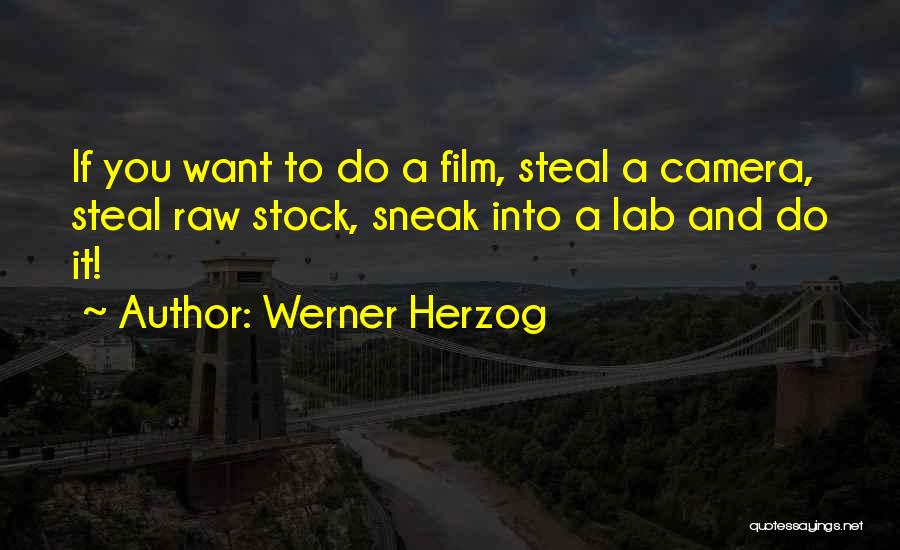 Werner Herzog Quotes: If You Want To Do A Film, Steal A Camera, Steal Raw Stock, Sneak Into A Lab And Do It!