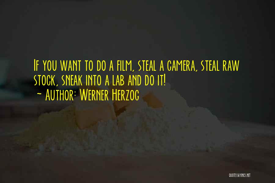 Werner Herzog Quotes: If You Want To Do A Film, Steal A Camera, Steal Raw Stock, Sneak Into A Lab And Do It!