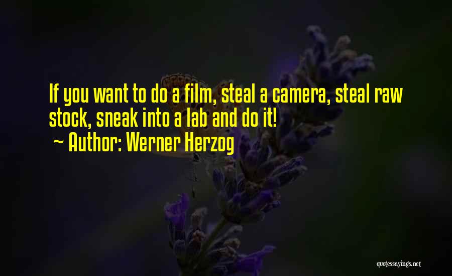 Werner Herzog Quotes: If You Want To Do A Film, Steal A Camera, Steal Raw Stock, Sneak Into A Lab And Do It!