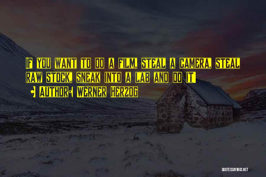 Werner Herzog Quotes: If You Want To Do A Film, Steal A Camera, Steal Raw Stock, Sneak Into A Lab And Do It!